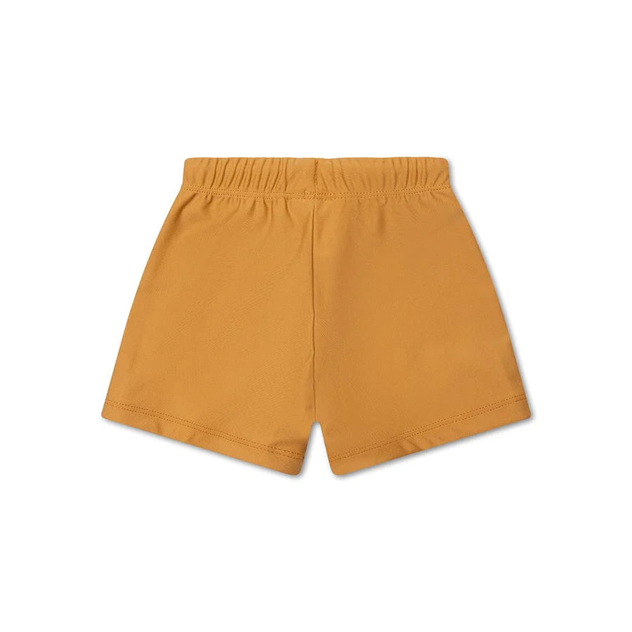 Boxer tipo maudymosi šortai PURE TONES