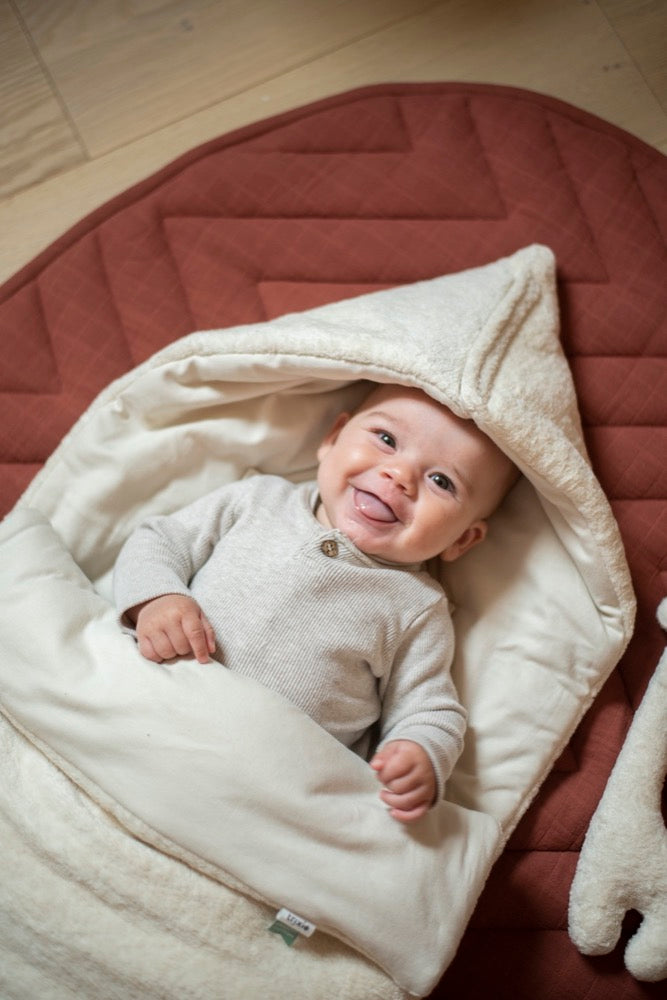 Miegmaišis Teddy Almond