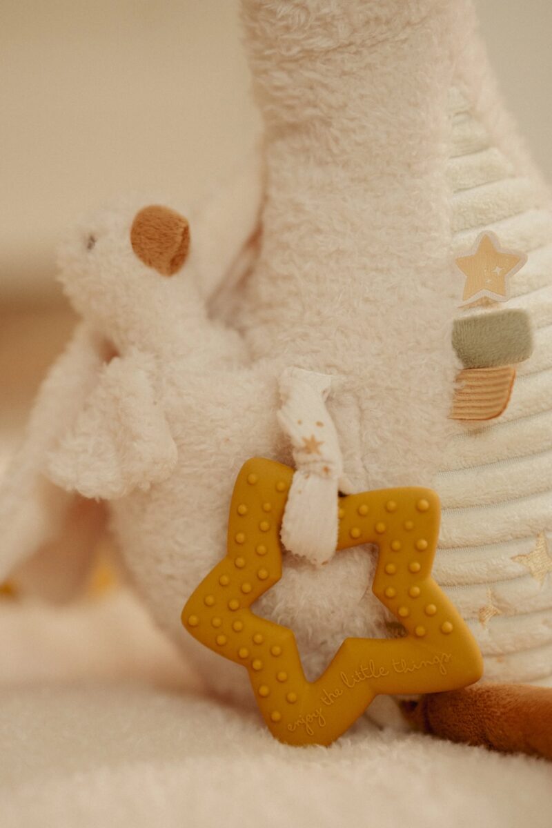 Little Dutch lavinančių veiklų žąsiukas NEWBORN NATURALS