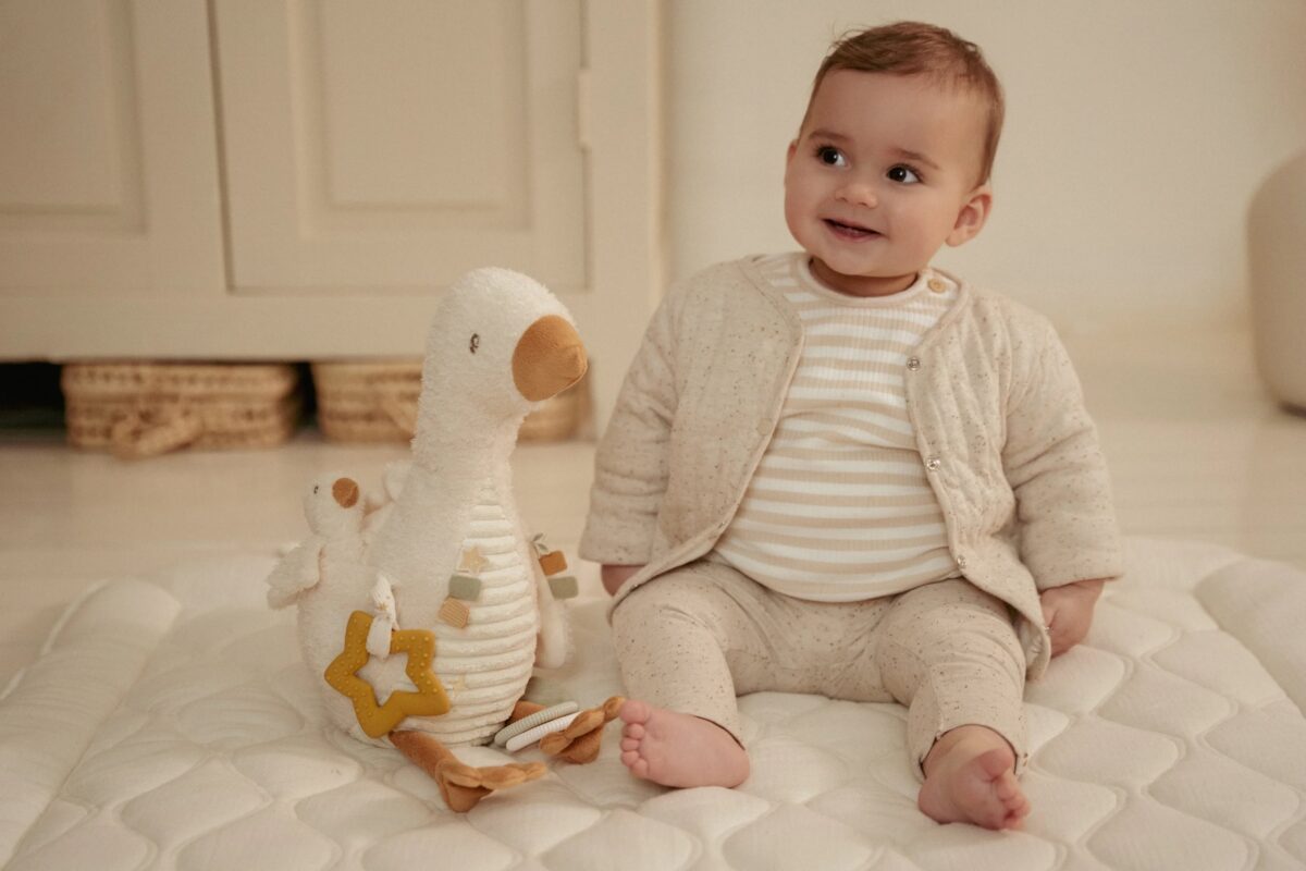 Little Dutch lavinančių veiklų žąsiukas NEWBORN NATURALS