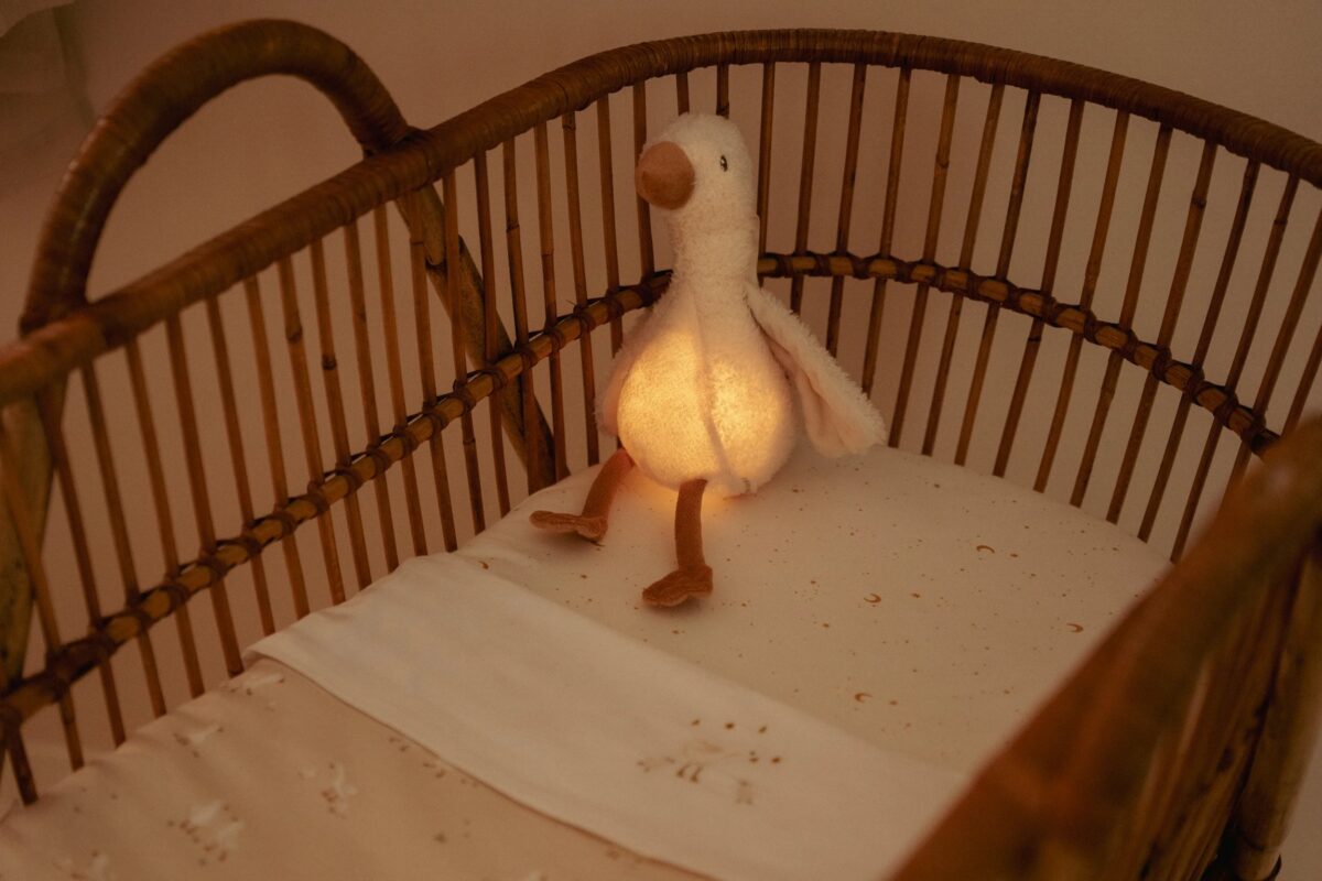 Little Dutch žąsytė su garsu ir šviesa NEWBORN NATURALS