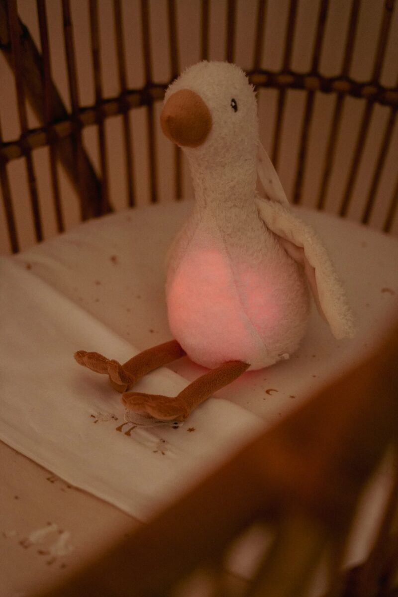 Little Dutch žąsytė su garsu ir šviesa NEWBORN NATURALS