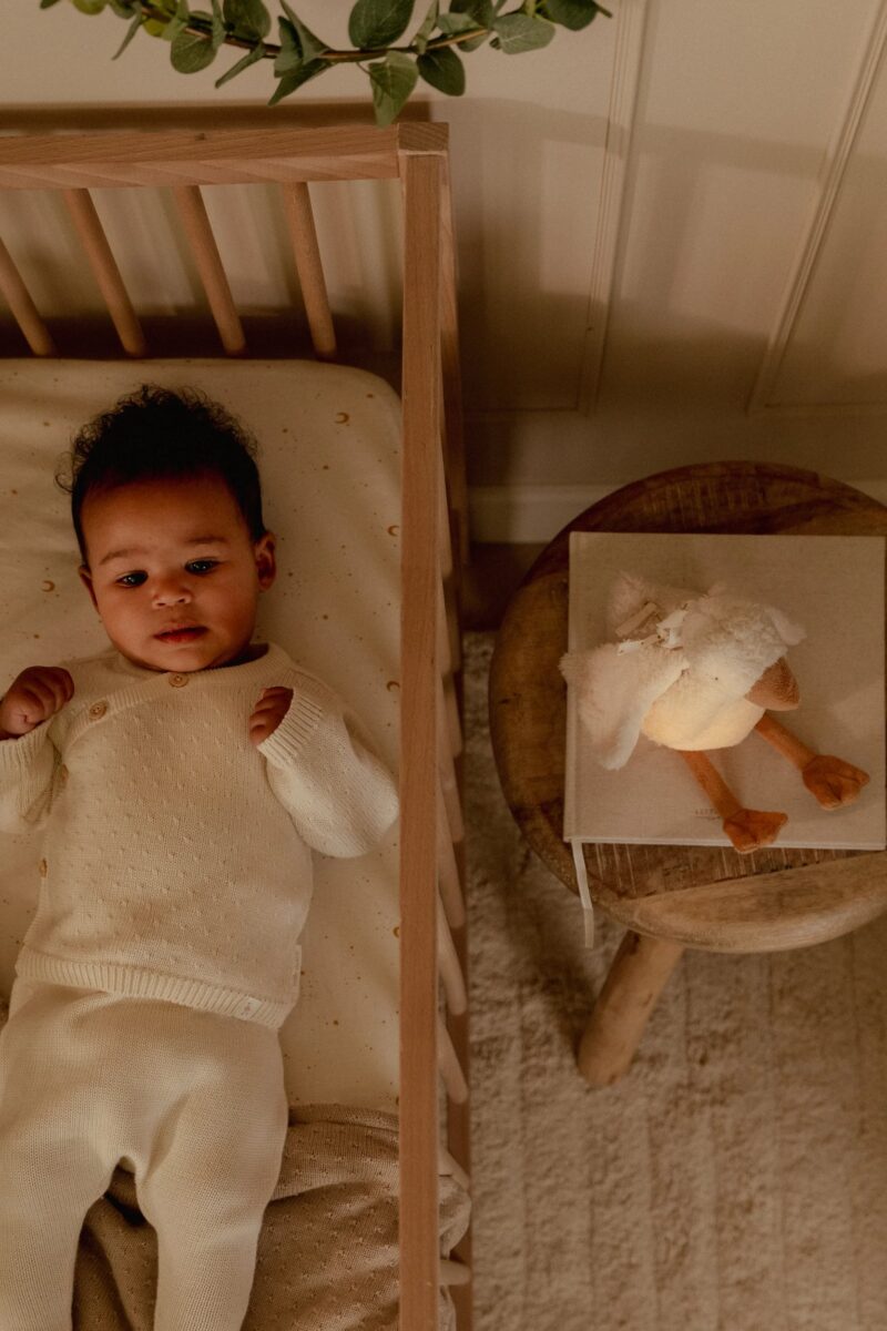 Little Dutch žąsytė su garsu ir šviesa NEWBORN NATURALS