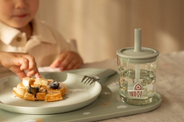 Little Dutch kūdikių buteliukų rinkinys FAIRY GARDEN, 165 ml + 240 ml