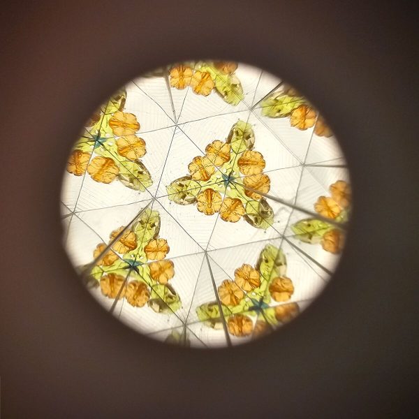 Little Dutch kaleidoskopas FOREST FRIENDS