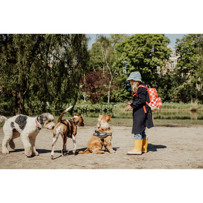 Pick & Pack kuprinė pradinukams Raudoni langeliai, M