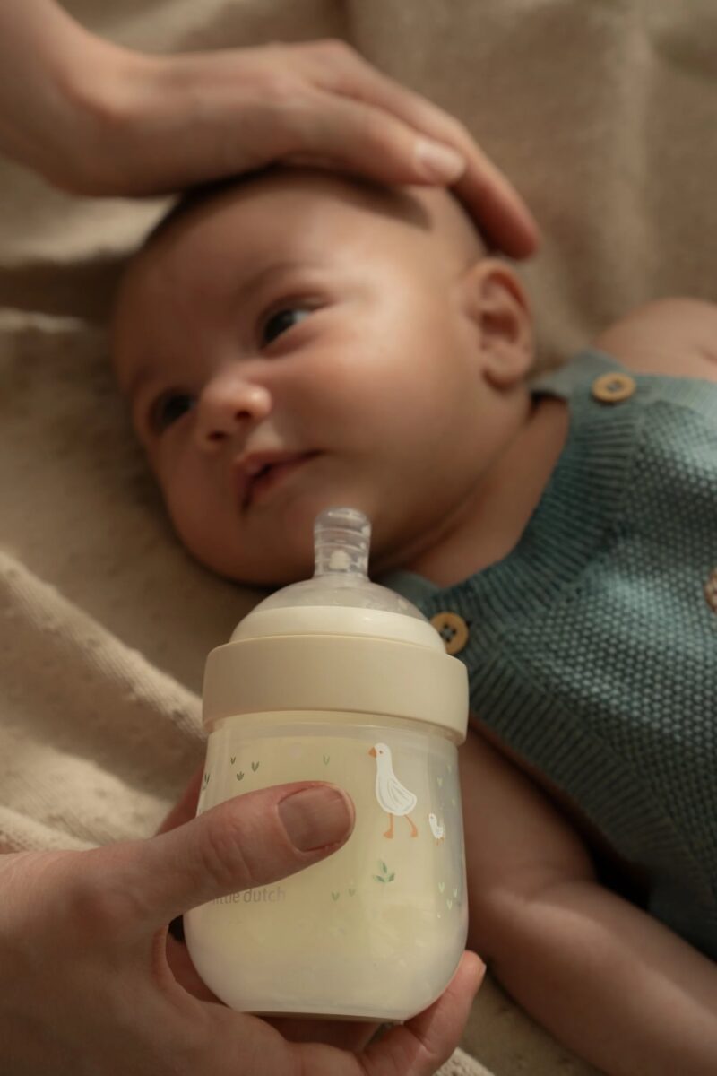 Little Dutch kūdikių buteliukas LITTLE GOOSE, 165 ml