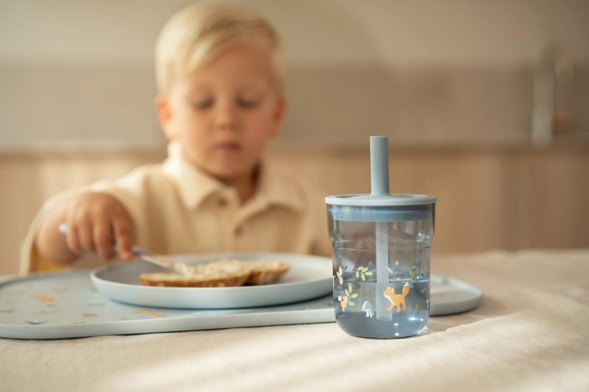 Little Dutch vaikiška gertuvė su šiaudeliu FOREST FRIENDS 250 ml