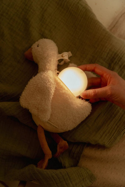 Little Dutch žąsytė su garsu ir šviesa NEWBORN NATURALS