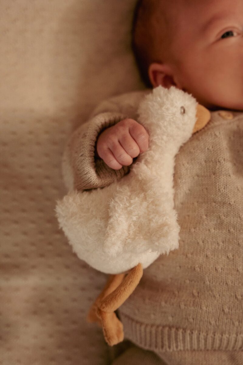 Little Dutch dovanų dėžutė kūdikiui NEWBORN NATURALS