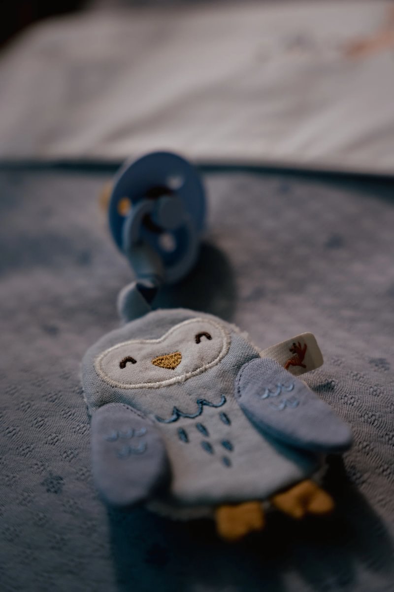 Little Dutch Čiulptuko laikiklis Pelėdžiukas