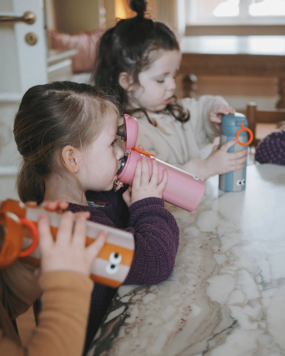 NOUI NOUI nerūdijančio plieno vandens buteliukas, PRINCESS 350 ml