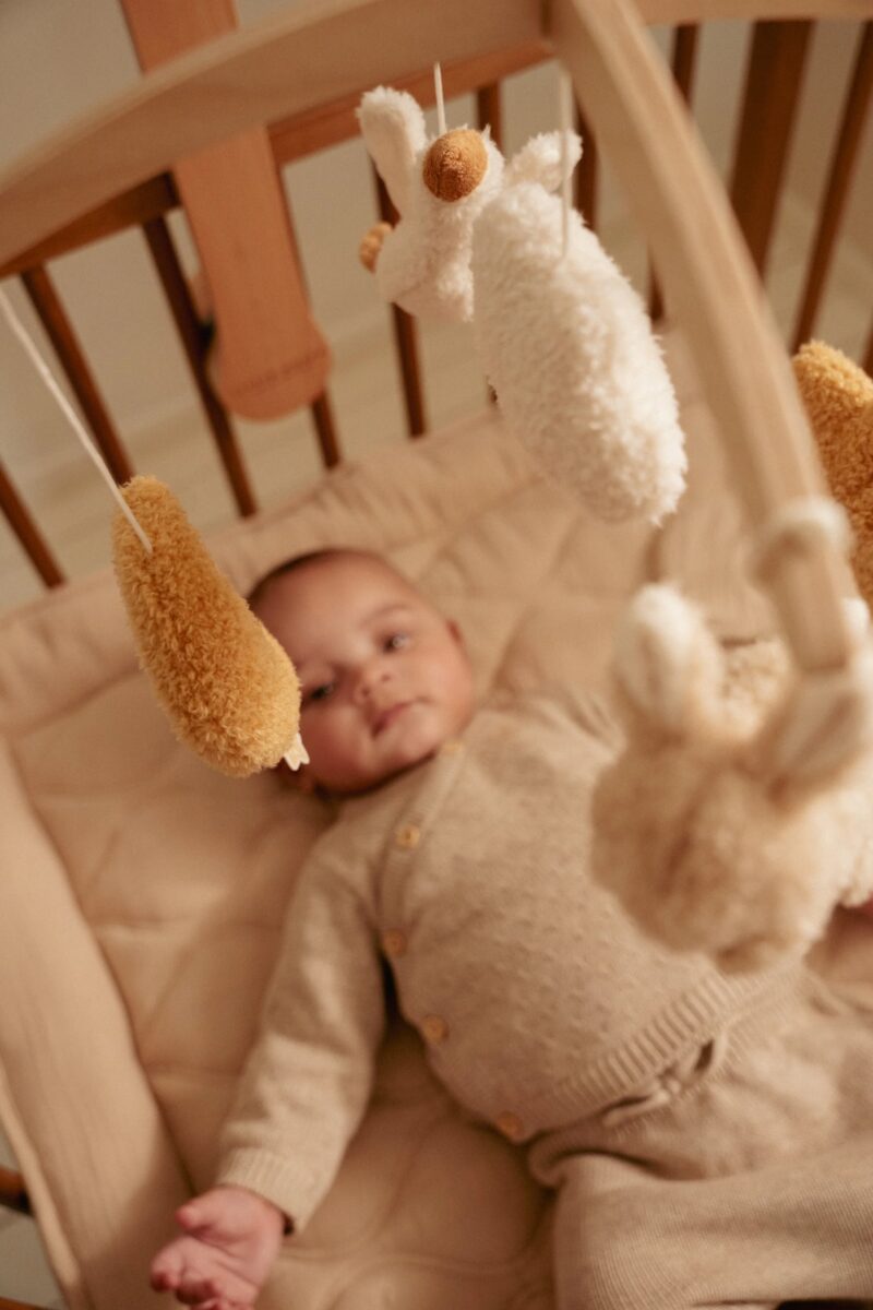 Little Dutch medinė muzikinė karuselė NEWBORN NATURALS